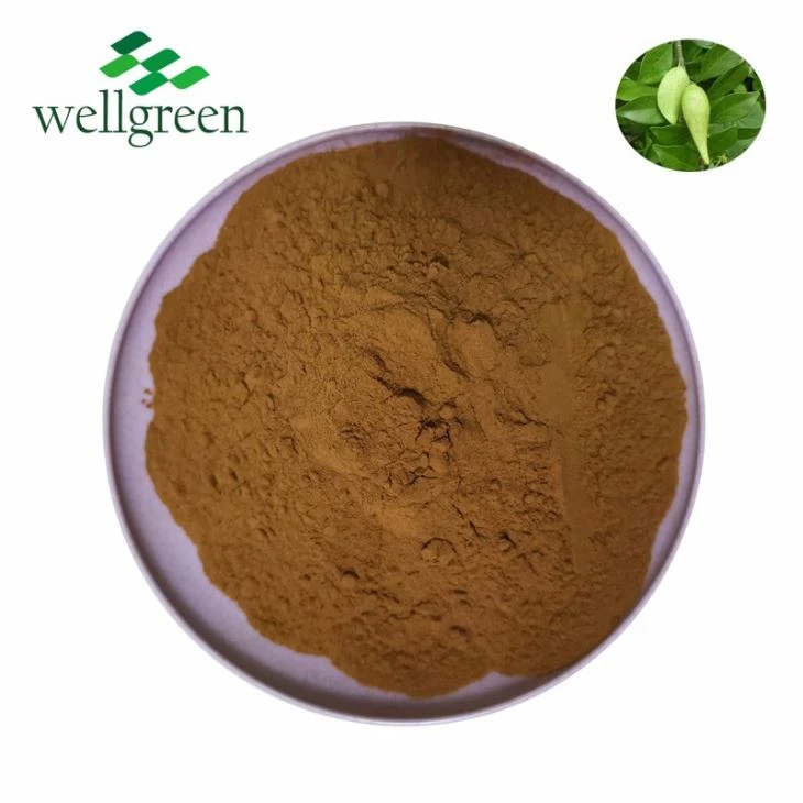 Best Price For Nutritional Supplement Gymnema Sylvestre Extract 25%-75% Gymnemic Acid